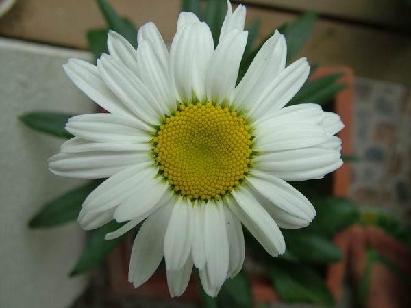 ż�Ļ���ż��Ժ��