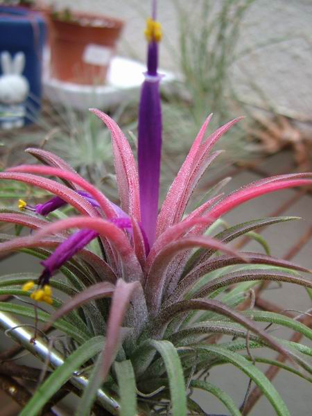 ż�Ļ���ż��Ժ��