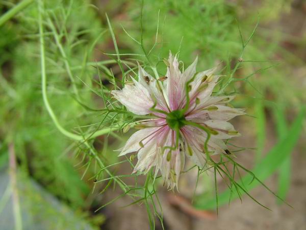 ż�Ļ���ż��Ժ��