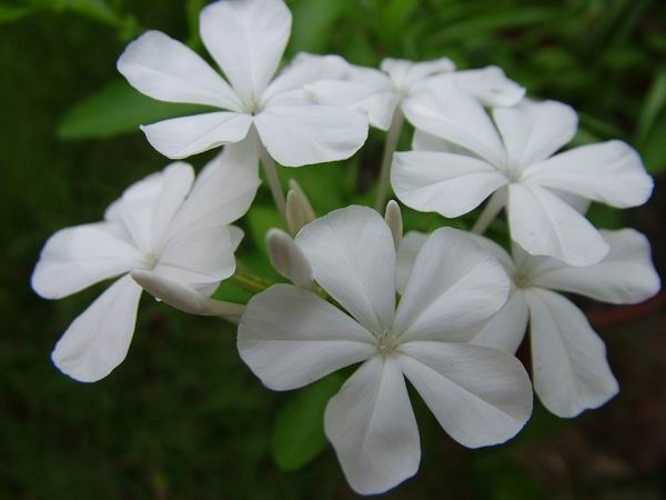 ż�Ļ���ż��Ժ��