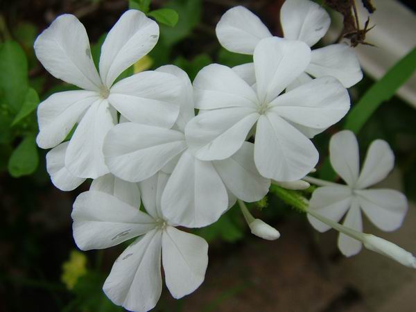 ż�Ļ���ż��Ժ��