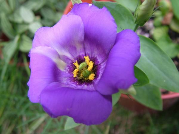 ż�Ļ���ż��Ժ��