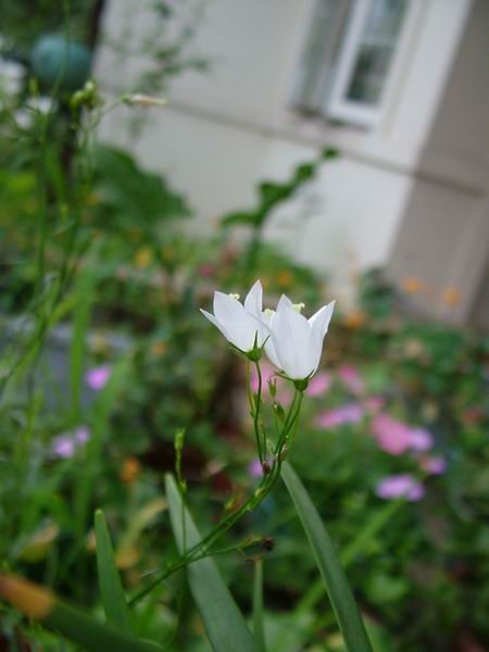 ż�Ļ���ż��Ժ��