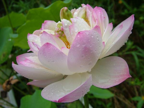 ż�Ļ���ż��Ժ��