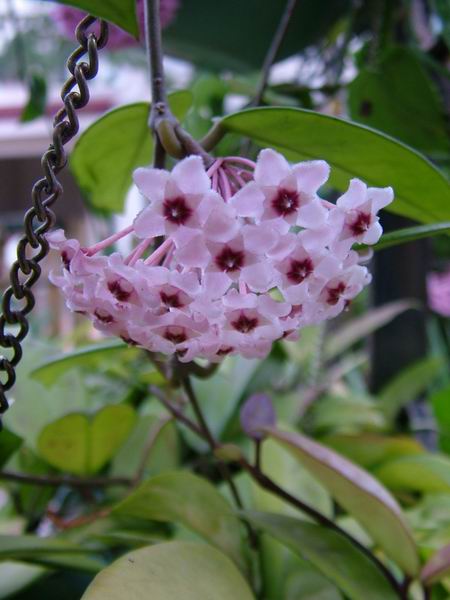 ż�Ļ���ż��Ժ��