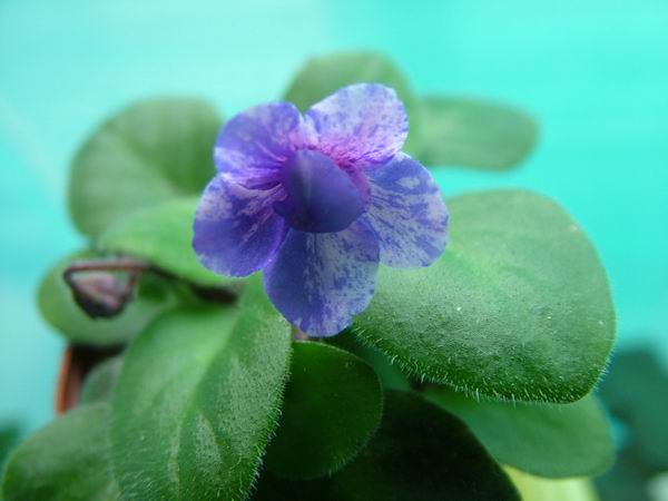 ż�Ļ���ż��Ժ��