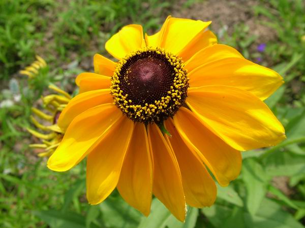 ż�Ļ���ż��Ժ��