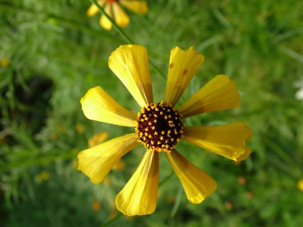 ż�Ļ���ż��Ժ��