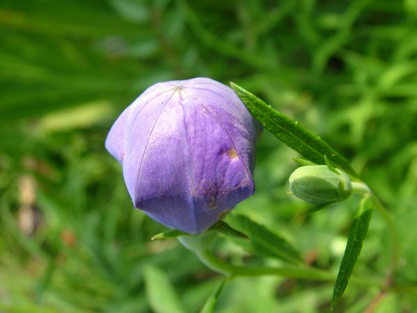 ż�Ļ���ż��Ժ��