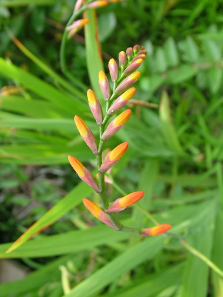 ż�Ļ���ż��Ժ��