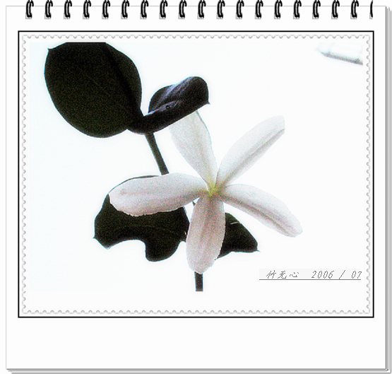 ���ȵ���������..P15,���ŵķ�ɫǣţ~