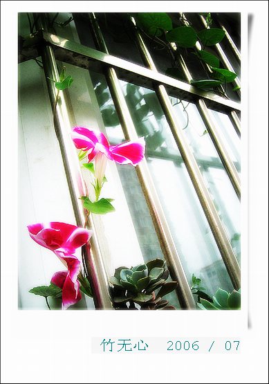 ���ȵ���������..P15,���ŵķ�ɫǣţ~