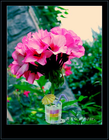 ���ȵ���������..P15,���ŵķ�ɫǣţ~