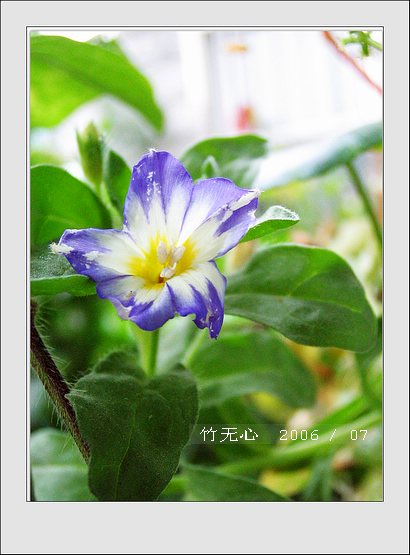 ���ȵ���������..P15,���ŵķ�ɫǣţ~