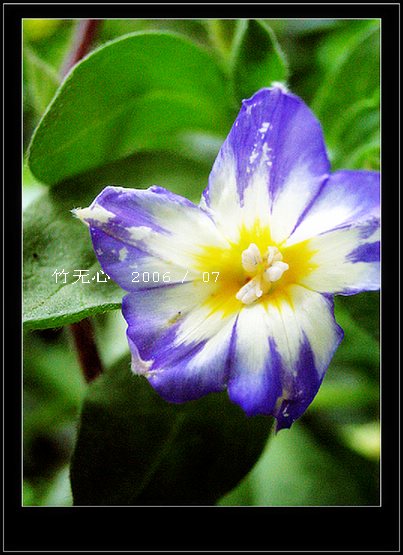 ���ȵ���������..P15,���ŵķ�ɫǣţ~