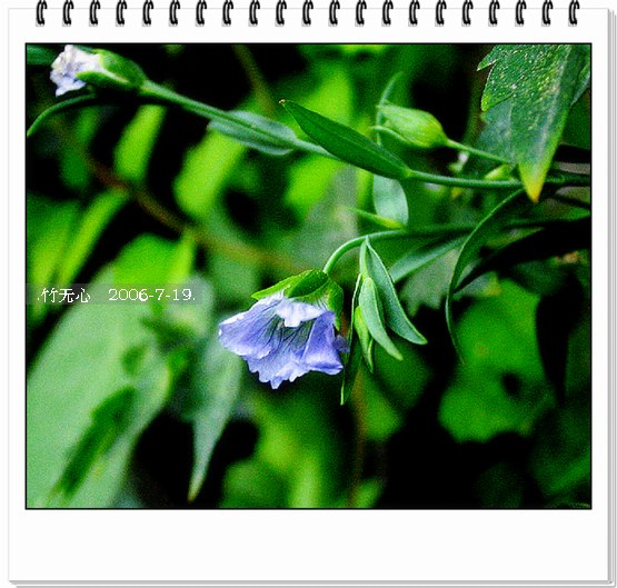 ���ȵ���������..P15,���ŵķ�ɫǣţ~