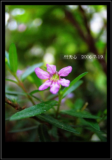 ���ȵ���������..P15,���ŵķ�ɫǣţ~