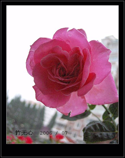 ���ȵ���������..P15,���ŵķ�ɫǣţ~