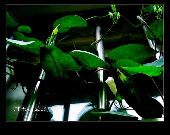 ���ȵ���������..P15,���ŵķ�ɫǣţ~