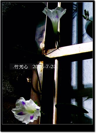 ���ȵ���������..P15,���ŵķ�ɫǣţ~