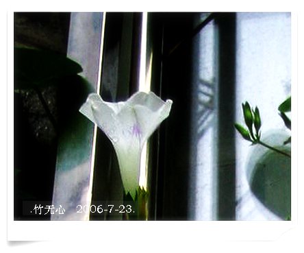 ���ȵ���������..P15,���ŵķ�ɫǣţ~