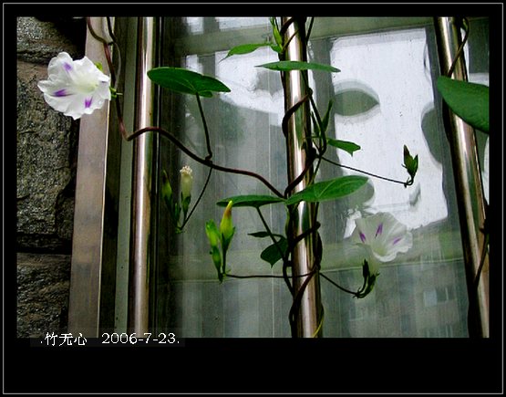 ���ȵ���������..P15,���ŵķ�ɫǣţ~