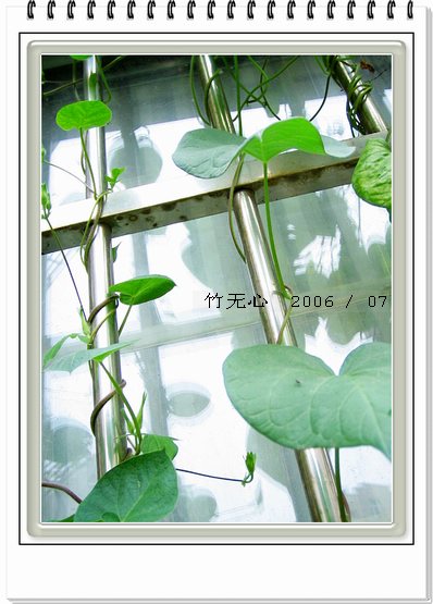 ���ȵ���������..P15,���ŵķ�ɫǣţ~