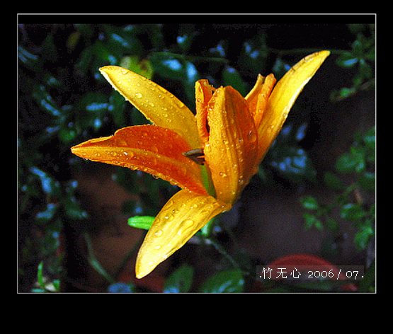 ���ȵ���������..P15,���ŵķ�ɫǣţ~