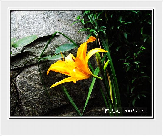 ���ȵ���������..P15,���ŵķ�ɫǣţ~