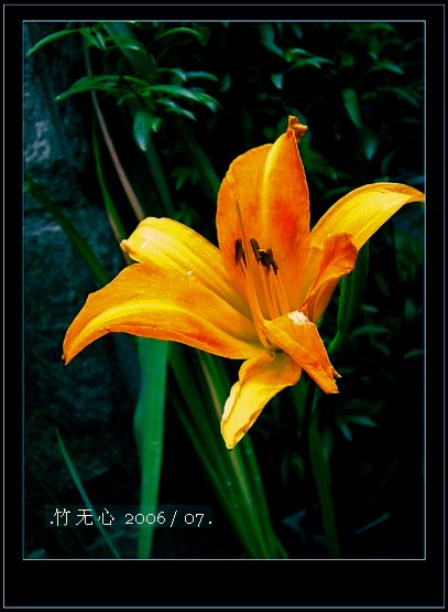 ���ȵ���������..P15,���ŵķ�ɫǣţ~