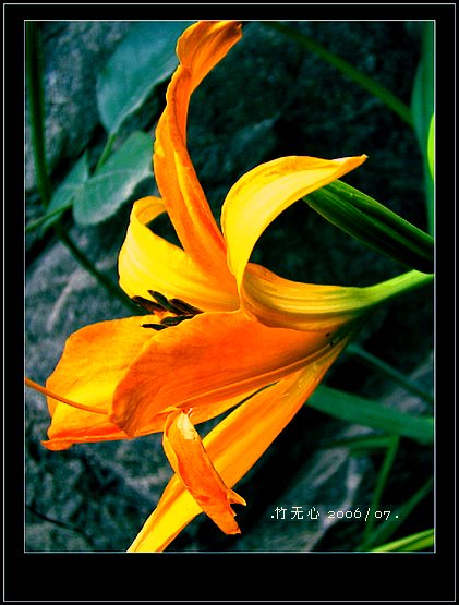 ���ȵ���������..P15,���ŵķ�ɫǣţ~