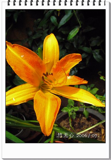 ���ȵ���������..P15,���ŵķ�ɫǣţ~