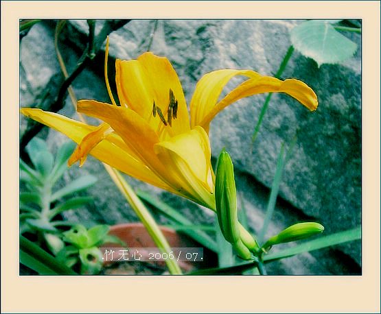 ���ȵ���������..P15,���ŵķ�ɫǣţ~