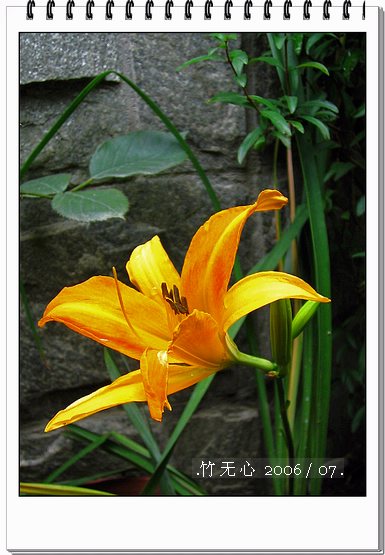 ���ȵ���������..P15,���ŵķ�ɫǣţ~