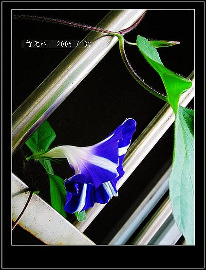 ���ȵ���������..P15,���ŵķ�ɫǣţ~