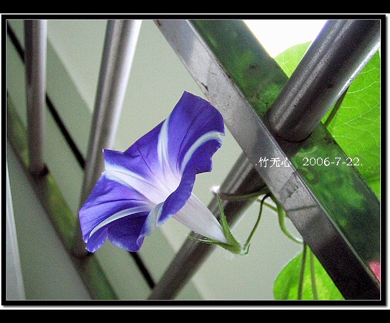 ���ȵ���������..P15,���ŵķ�ɫǣţ~