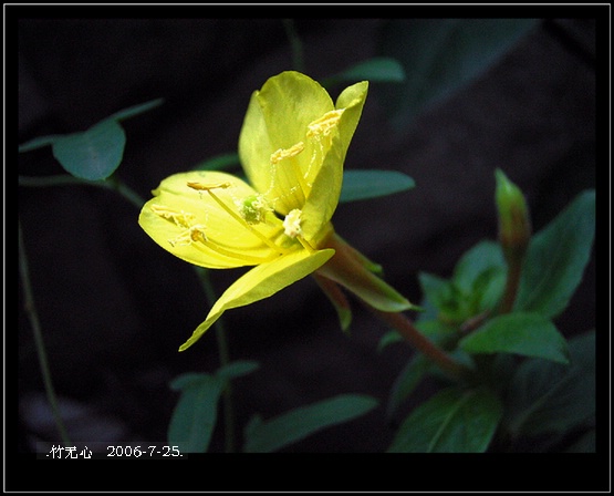 ���ȵ���������..P15,���ŵķ�ɫǣţ~