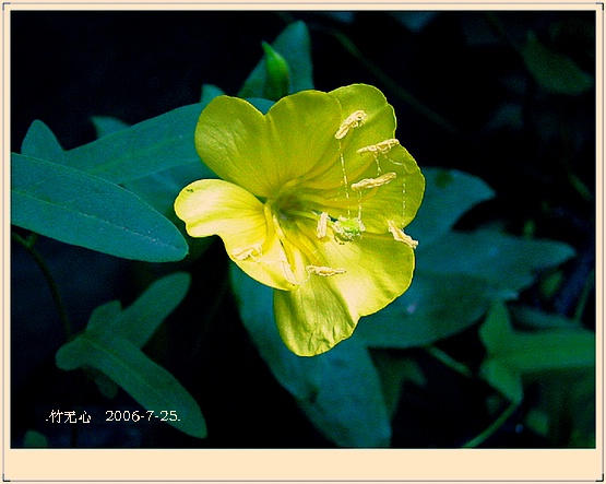 ���ȵ���������..P15,���ŵķ�ɫǣţ~