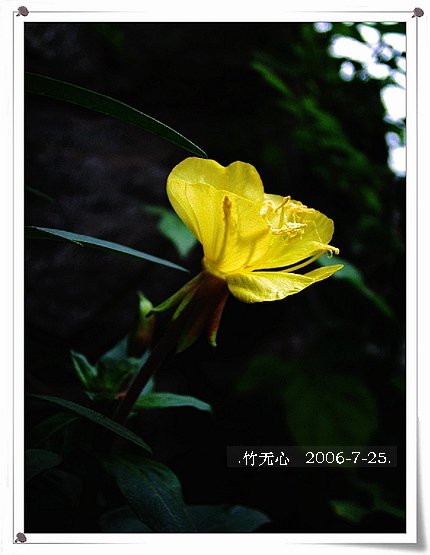 ���ȵ���������..P15,���ŵķ�ɫǣţ~