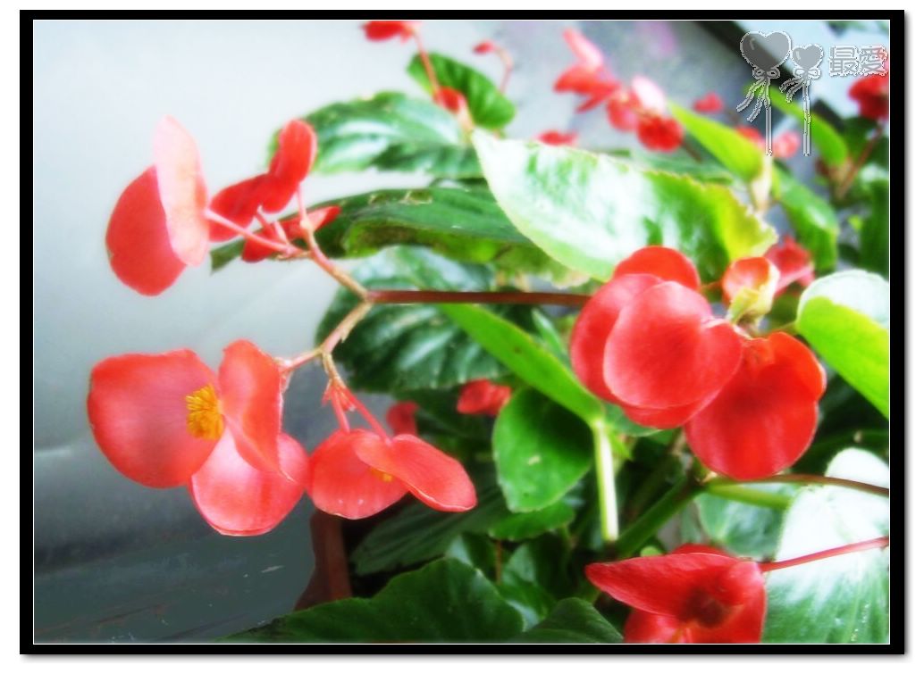 �ҵļ��ֺ���