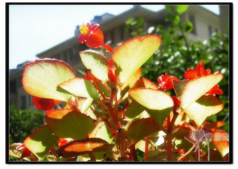 �ҵļ��ֺ���