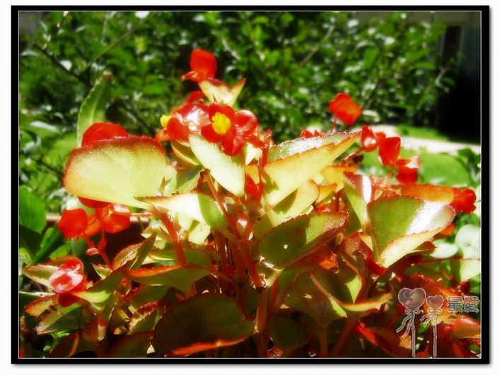 �ҵļ��ֺ���