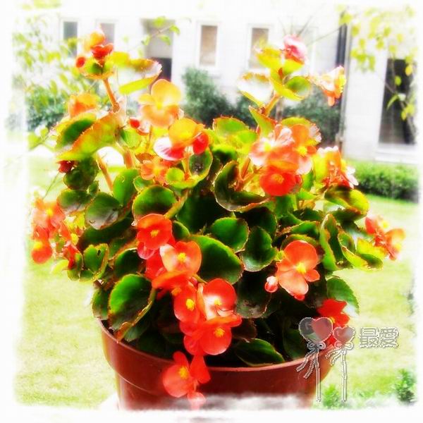 �ҵļ��ֺ���