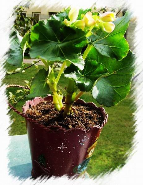 �ҵļ��ֺ���