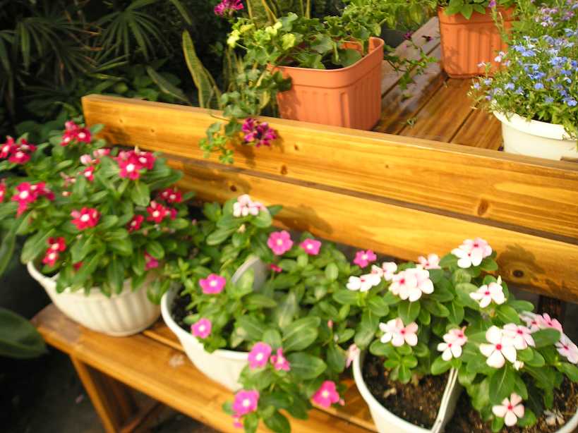 ���԰������մ�