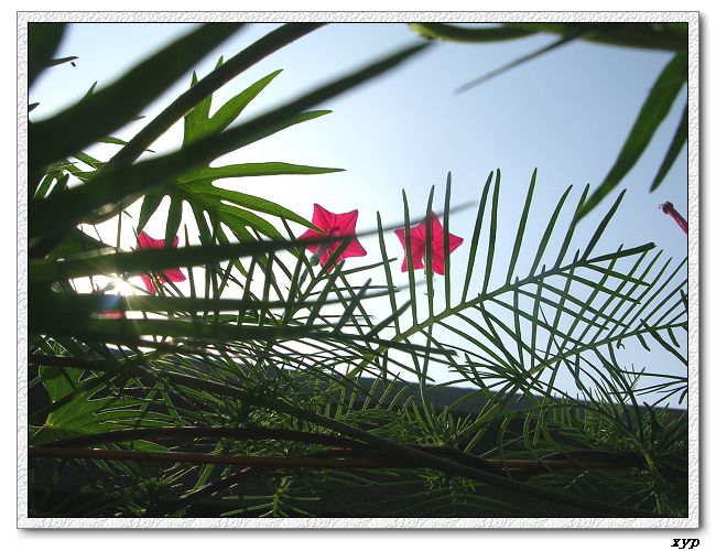 ���ܵ��¼�(��ɫ���ܿ�����)