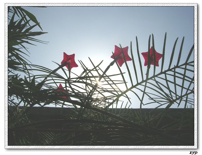 ���ܵ��¼�(��ɫ���ܿ�����)