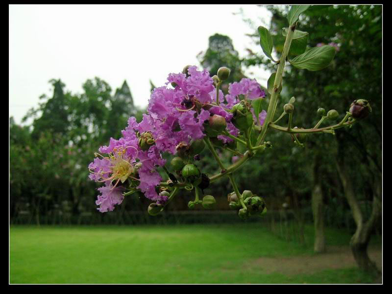 ��Ӱ��Ʒ�����������ң�