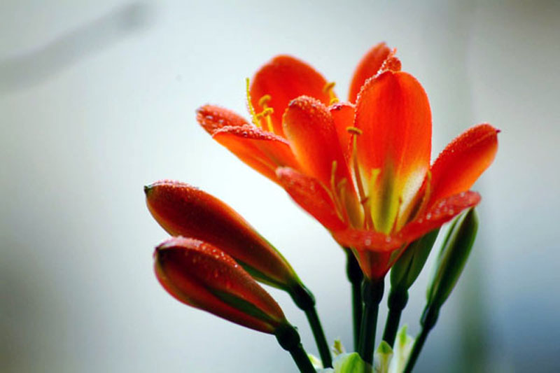 ��Ӱ��Ʒ�����������ң�