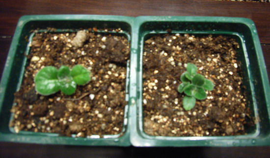 ��ͷ11��� ���� ����ͩת������ר��